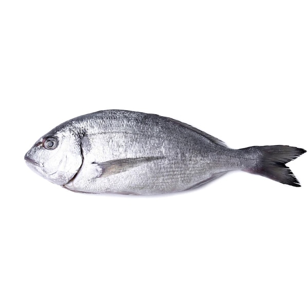 FISH-4